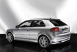 Audi S3 #1