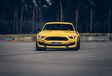 Ford Mustang Shelby GT350R - Cheval de course #10