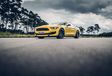 Ford Mustang Shelby GT350R - Cheval de course #16