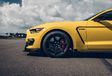 Ford Mustang Shelby GT350R - Cheval de course #21