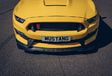 Ford Mustang Shelby GT350R: racepaard #22