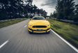 Ford Mustang Shelby GT350R - Cheval de course #3