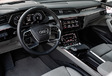 Audi e-tron : La verte Forest #7