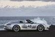 Porsche 911 Speedster: (Ge)wild nakomertje #5