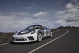 Porsche 911 Speedster: (Ge)wild nakomertje #1