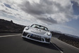 Porsche 911 Speedster: (Ge)wild nakomertje #2