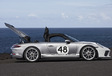 Porsche 911 Speedster: (Ge)wild nakomertje #12