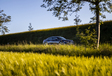 Audi S6 TDI : un gros Diesel… pour l'Europe #22
