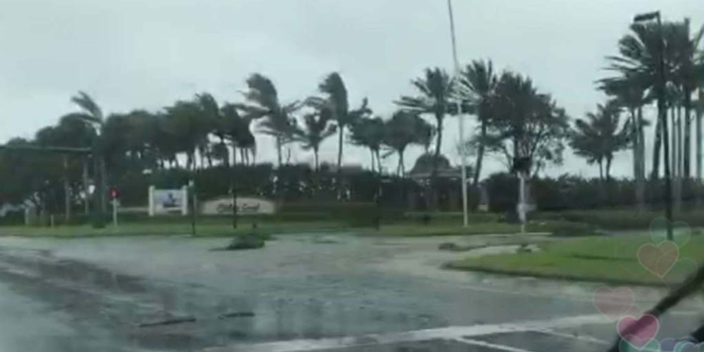 INSOLITE Il filme au c ur de l ouragan Irma dans sa voiture