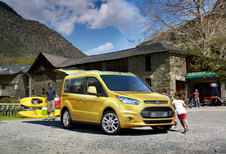 HOGEROP: Ford Tourneo Connect