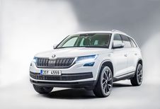 Skoda Kodiaq: dan nu alle details