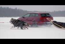 Seat Leon Cupra ST face à des chiens de traîneau