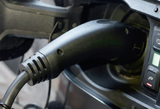 Pas d’électricité pour les pachydermes !