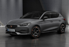 Cupra León : autre variété de saveurs