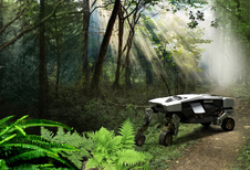 Hyundai Tiger, roi de la jungle