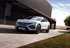 Une flotte 100 % électrique et 100 % Peugeot ?