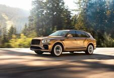 Bentley Bentayga EWB (2022) - met het gat in de boter