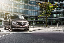 MERCEDES V 250 BLUETEC: Bediendestatuut