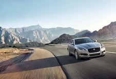 Jaguar XF : félin à l’affût