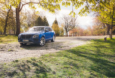 BENTLEY BENTAYGA DIESEL : Heiligschennis