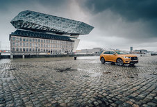 DS 7 CROSSBACK 2.0 HDI 180 : PARADEPAARDJE