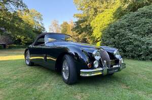 Jaguar XK