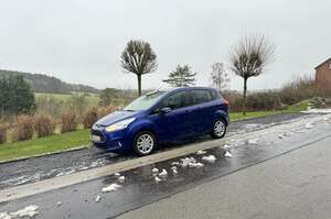 Ford B-Max