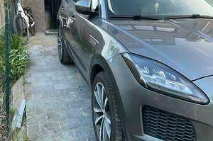 Jaguar 