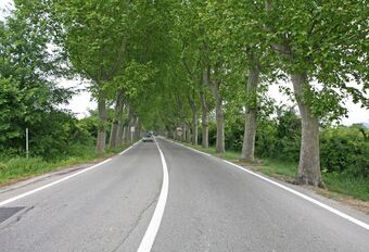 Série d’été - Conduire autrement : les chemins de traverse #1