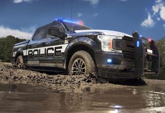Ford F-150 Police Responder : pick-up policier #1