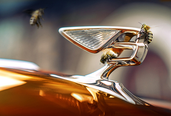 Bentley wil het milieu helpen met… bijen #1