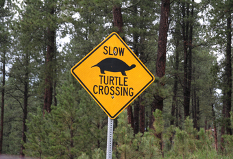 Trage chauffeurs zorgen voor meer ongelukken #1