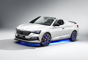 Studenten zagen dak van Skoda Scala #1