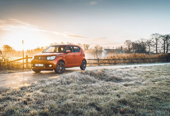 SUZUKI IGNIS 1.2 4X2 : Voetzoeker #1