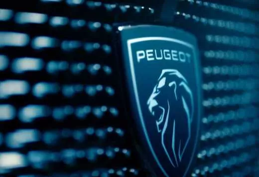 Les Français adorent Peugeot… et les Allemandes #1