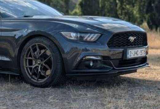 Ford 2.3 EcoBoost