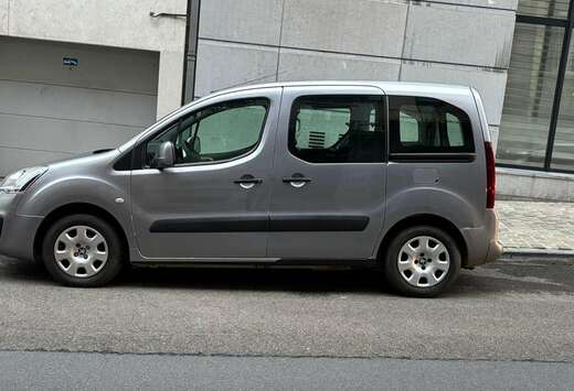 Peugeot Partner Tepee 1.6 BlueHDi Active S