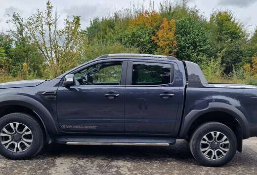 Ford 2.0+BiT+EcoBlue+Wildtrak+(EU6.2)