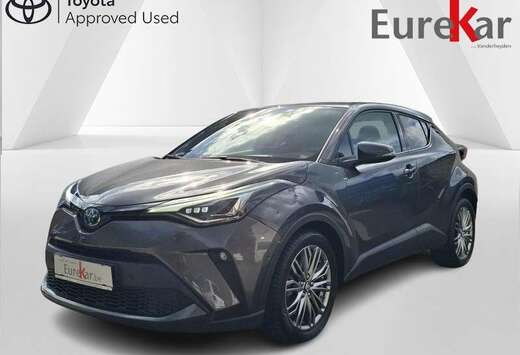 Toyota C-HIC Mono-Tone