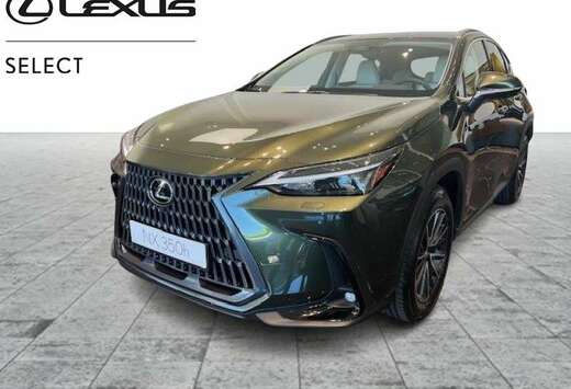 Lexus Executive Line