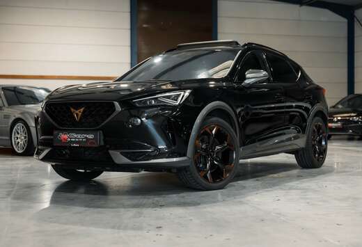 Formentor 2.0 TSI 4Drive VZ DSG