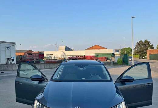 Skoda SW CNG 1.5 TGI G-TEC Style DSG