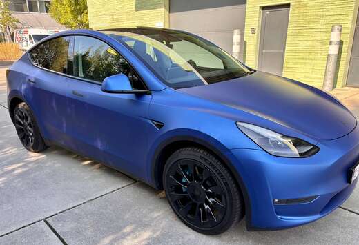 Tesla Tesla Model Y Long Range AWD | BTW | Trekhaak | ...