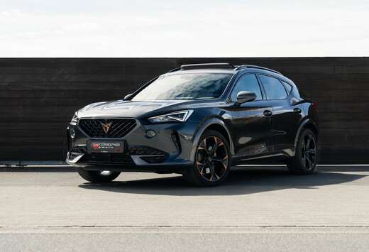 Formentor 2.0 TSI 4Drive VZ DSG