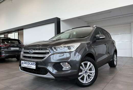 Ford Panoramisch dak / Zetel & stuurverwarming / Appe ...