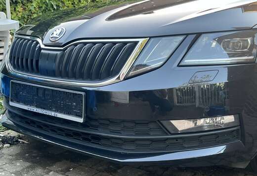 Skoda SW 1.6 CR TDi Style DSG (EU6.2)