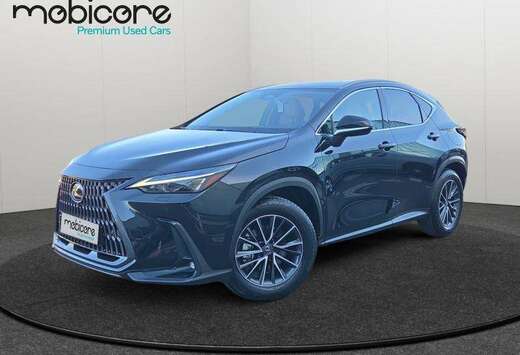 Lexus Executive Line / Hybrid