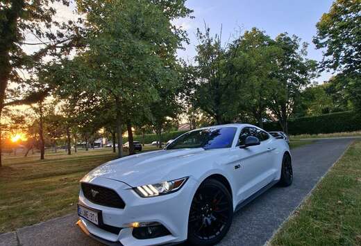 Ford 2.3 EcoBoost