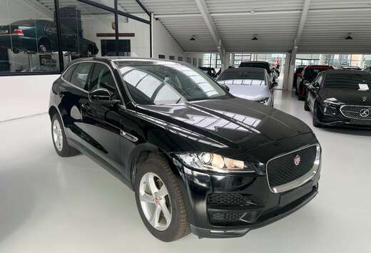 Jaguar F-Pace 3.0 D V6 AWD Pure (EU6.2) EURO 6ei BJ20 ...