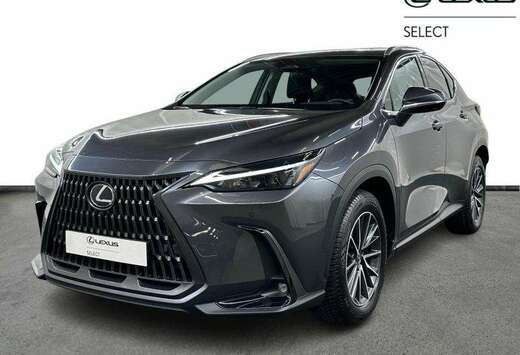 Lexus Executive Line